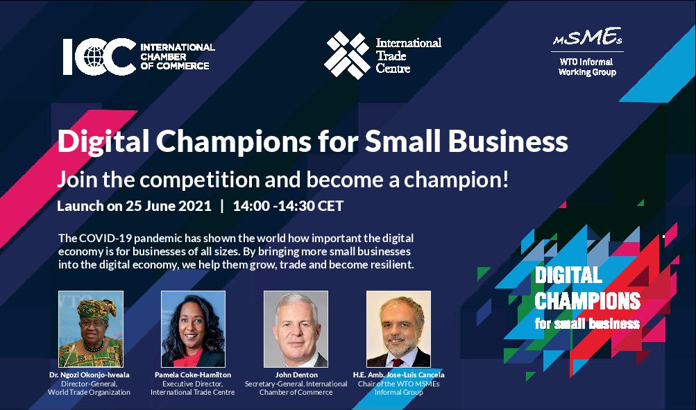 Digital Champions for Small Business - Belize Chamber of Commerce and ...